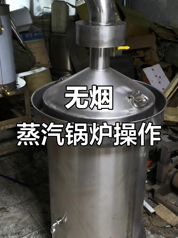 无烟蒸汽锅炉使用指南:加水、烧气,操作超简单