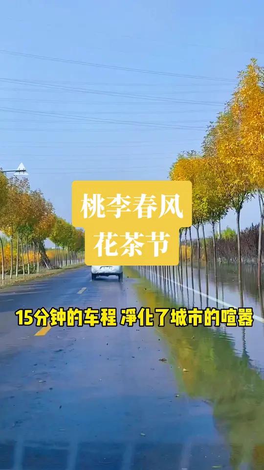 桃李春风这个名字听起来就有脱离尘世之感,如果选一个和爱人相守相伴得地方,你会选择这样一个诗