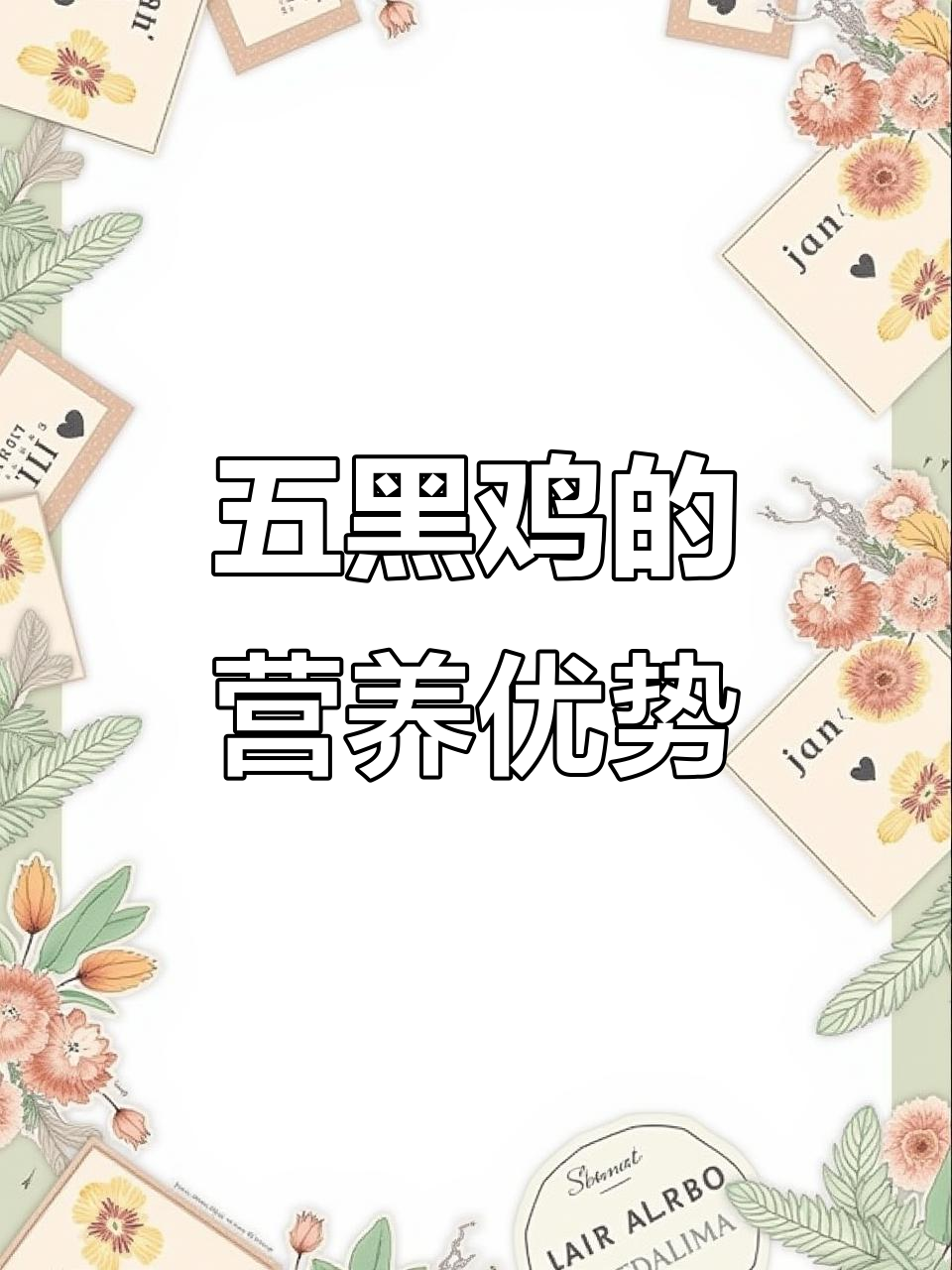 五黑鸡与普通鸡肉质差异大,营养价值更高