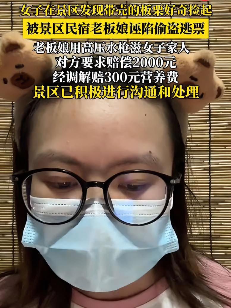 女子捡板栗壳被诬陷偷窃 女子在景区发现带壳的板栗好奇捡起,被景区民宿老板娘诬陷偷盗逃票,经