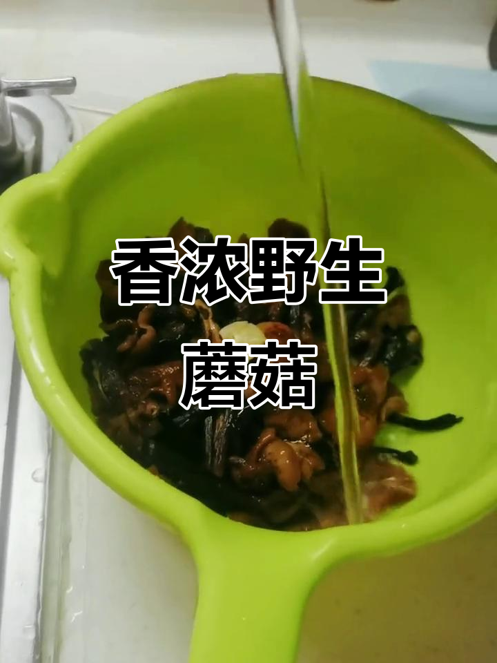 老家野生蘑菇,香气扑鼻让人无法抗拒