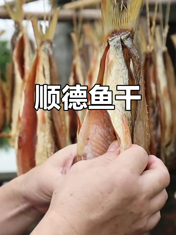 顺德特色美食,吃货必试