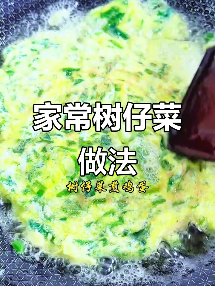 树仔菜怎么做好吃?家常做法大揭秘