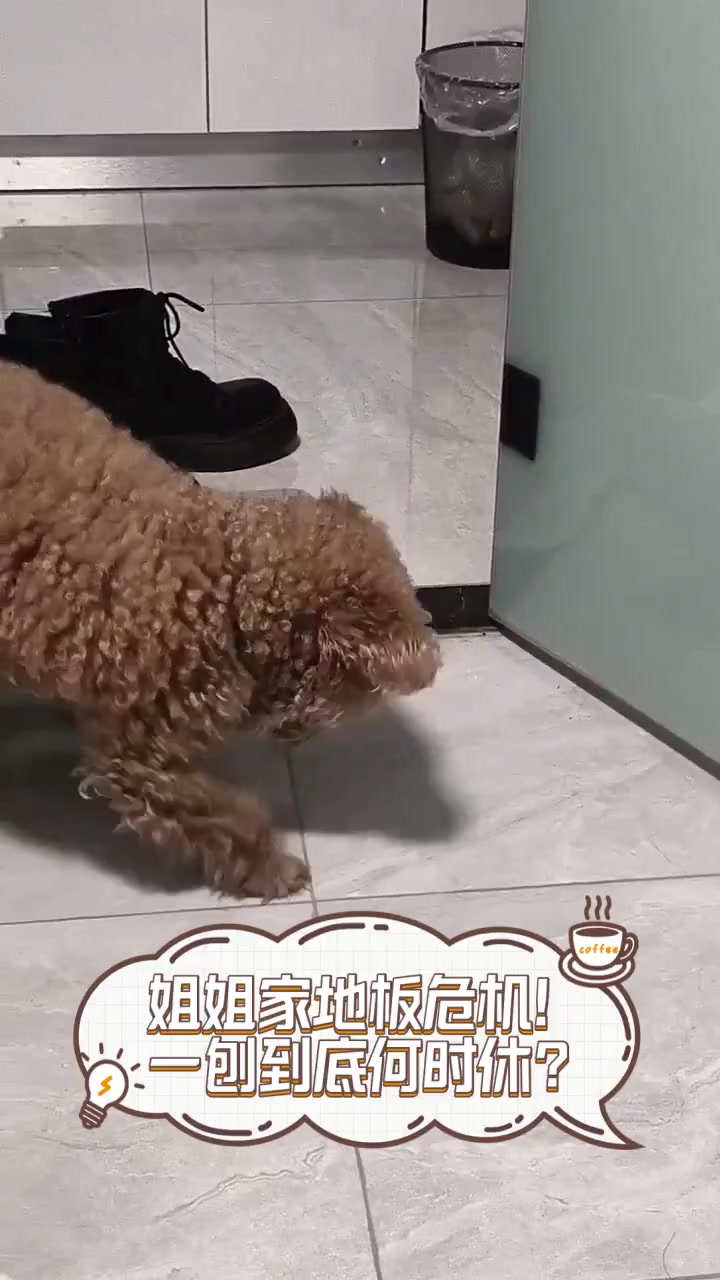 姐姐家地板危机!一刨到底何时休?