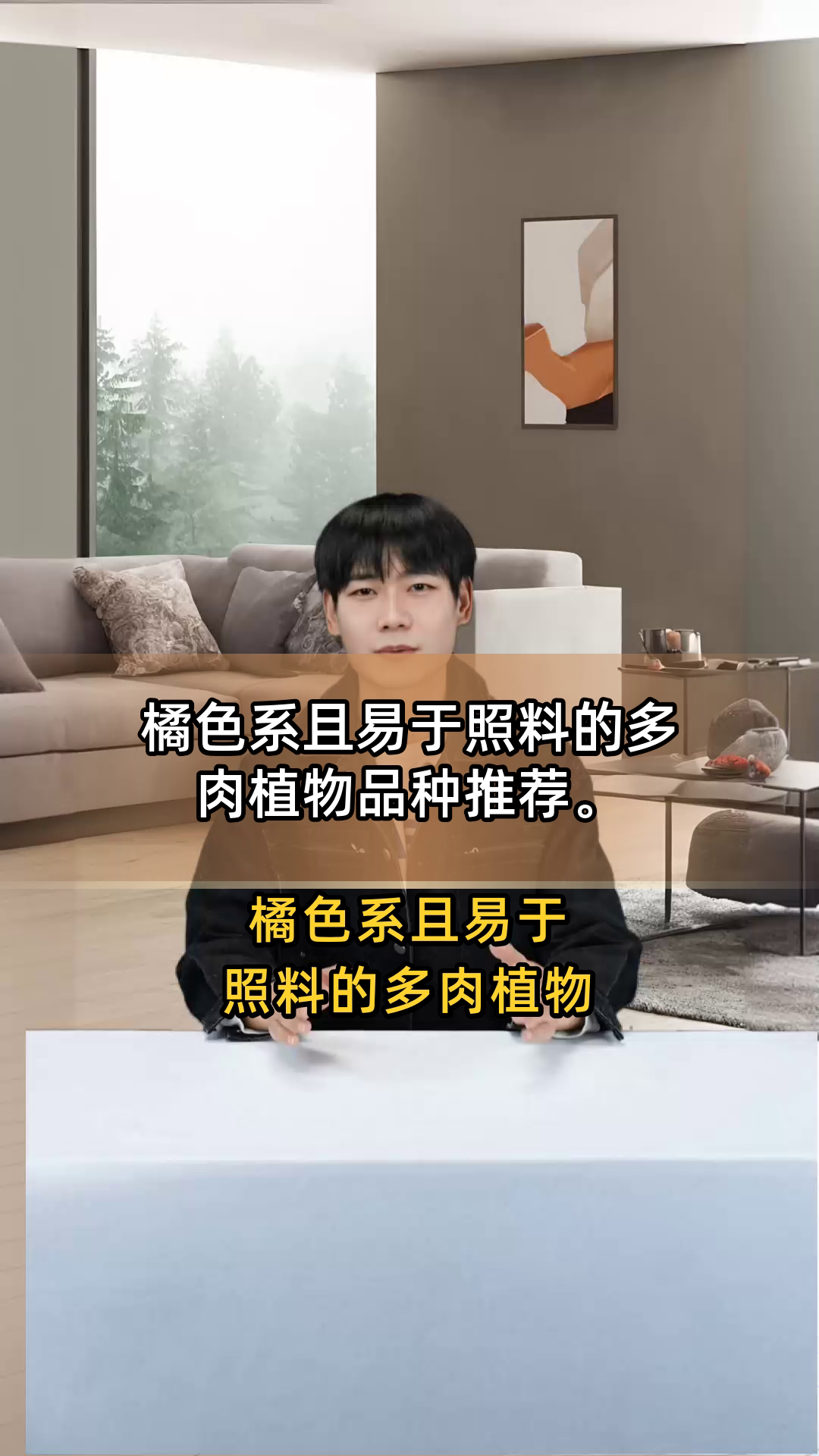 橘色系且易于照料的多肉植物品种推荐