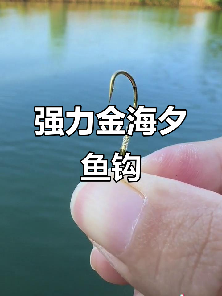 金海夕鱼钩升级版,大小通杀!