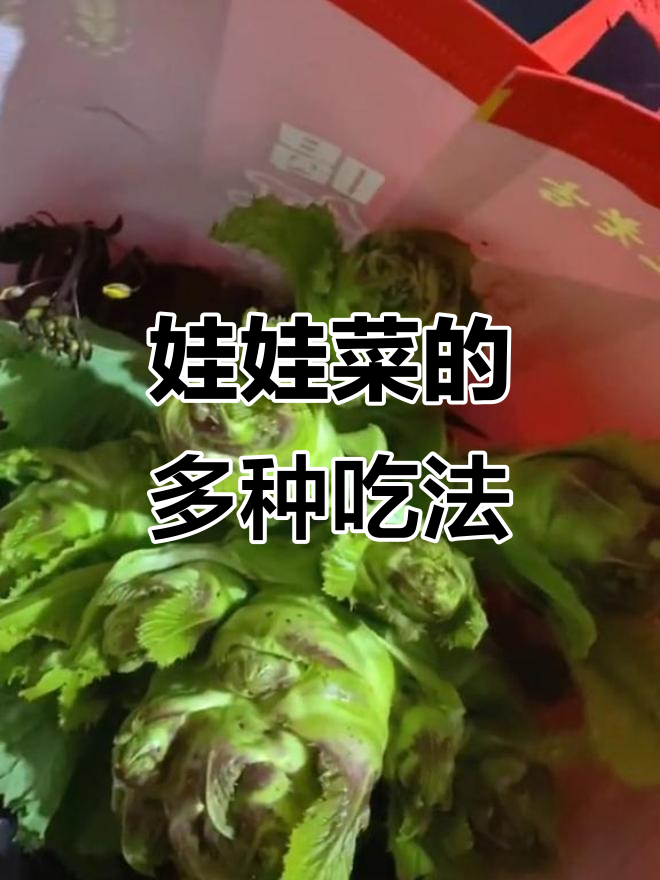 贵州娃娃菜,炒肉或煮食皆宜,简单又美味