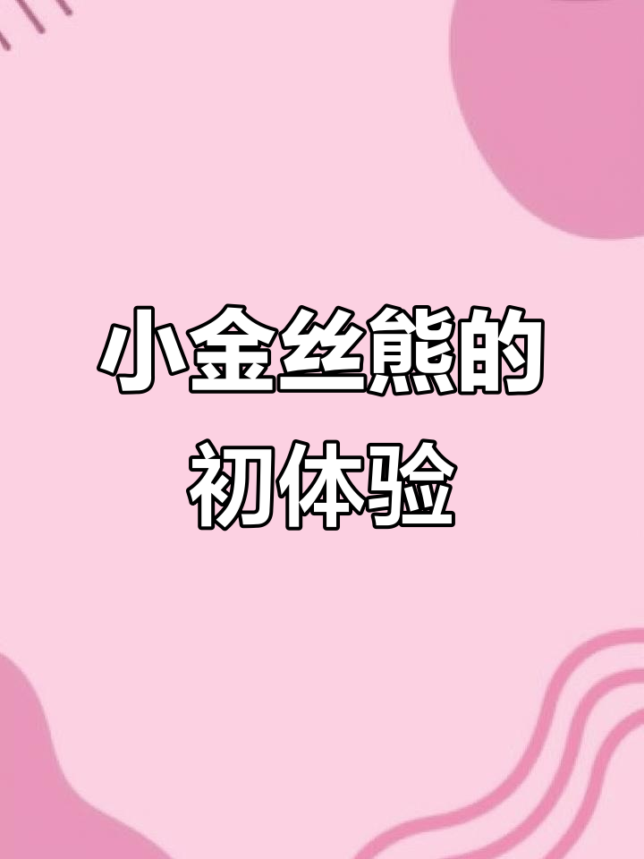 金丝熊刚到家,害怕得差点逃跑!