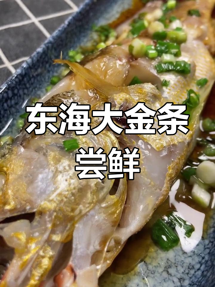 一个月工资换来的东海大黄鱼,值得吗?