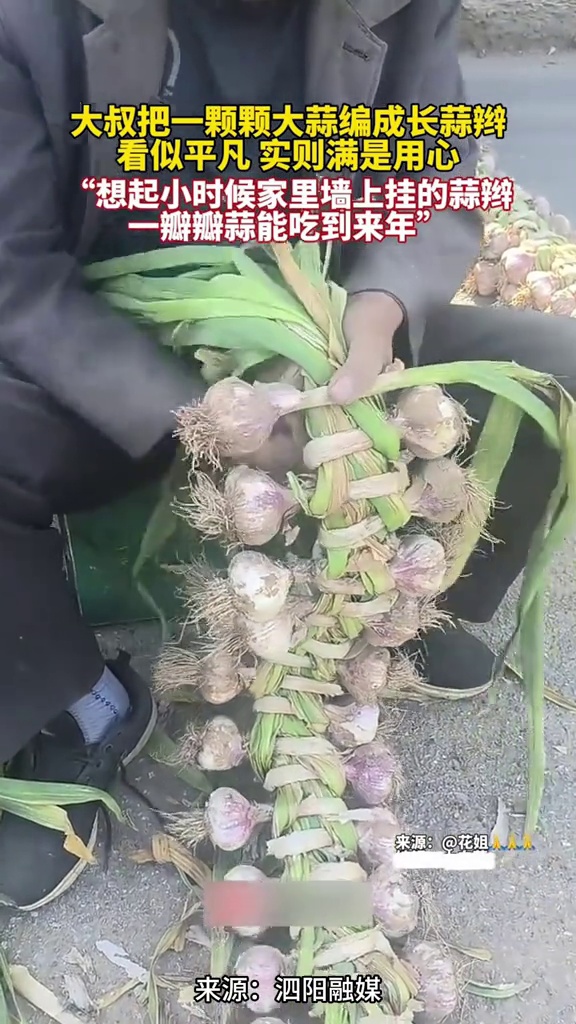 大叔把一颗颗大蒜编成长蒜辫,看似平凡,实则满是用心,“想起小时候家里墙上挂的蒜辫,一瓣瓣蒜