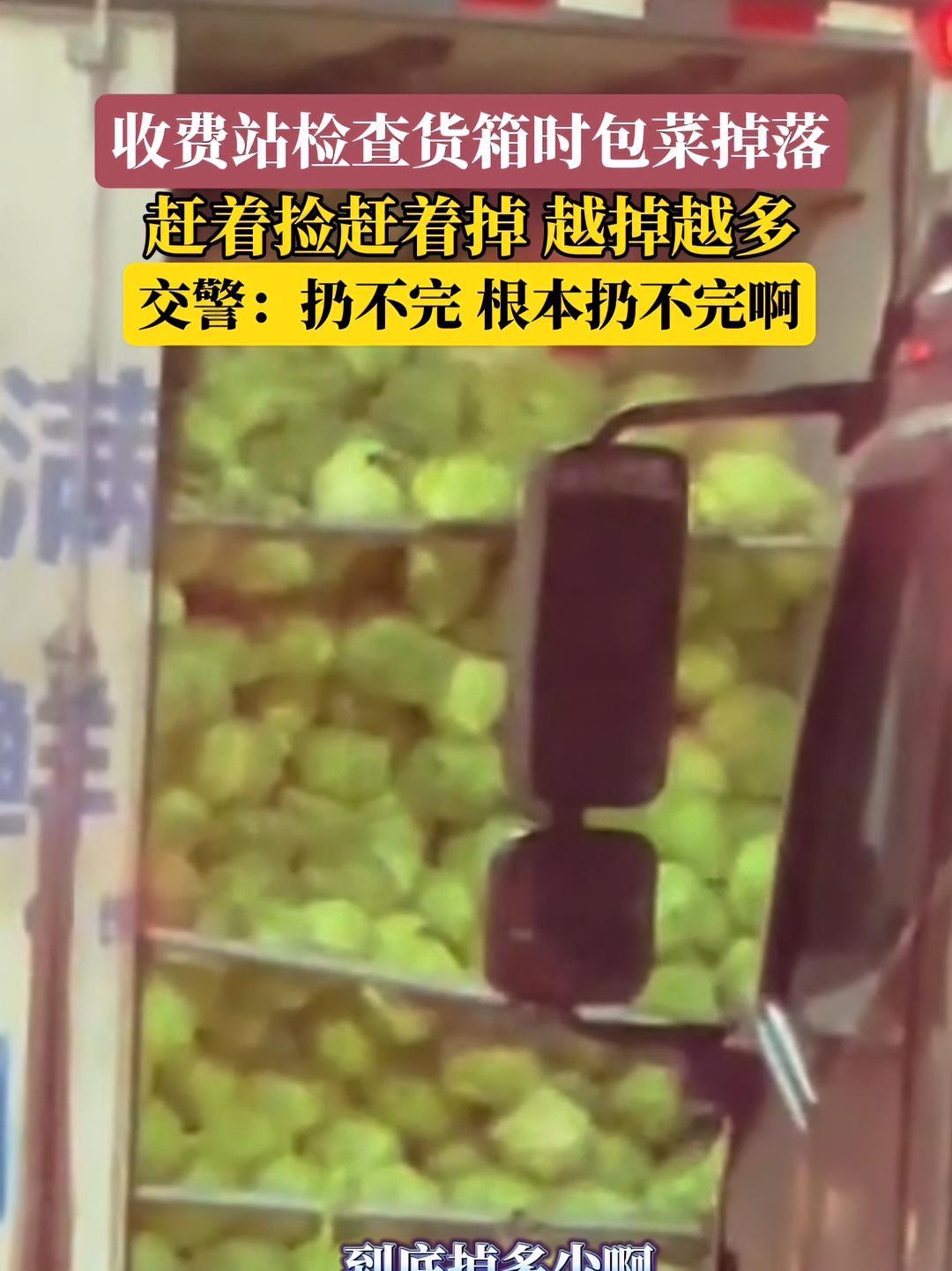 近日,北京。收费站打开货箱检查时包菜掉落,幸亏打开一半门不然掉更多!高速收费站 绿通