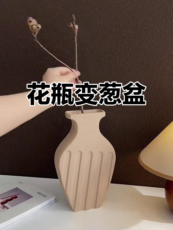 刘亦菲送的花瓶,林更新用来种小葱?这画风太奇特了!