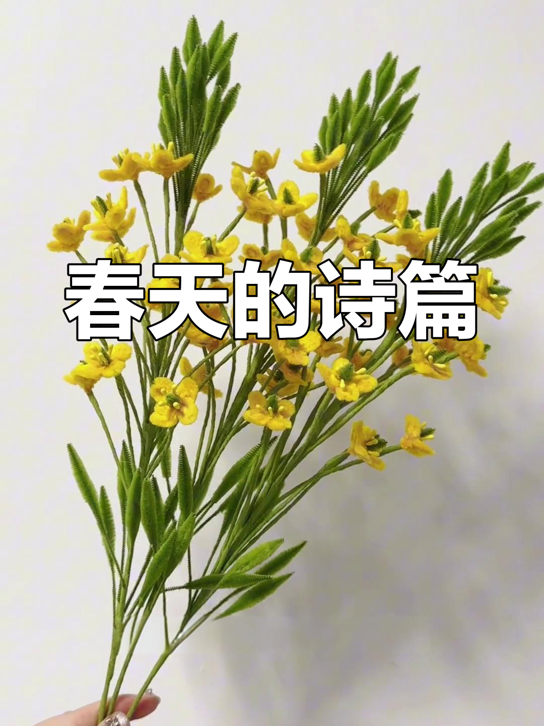 春天,阳光、微风与油菜花交织的温暖画卷