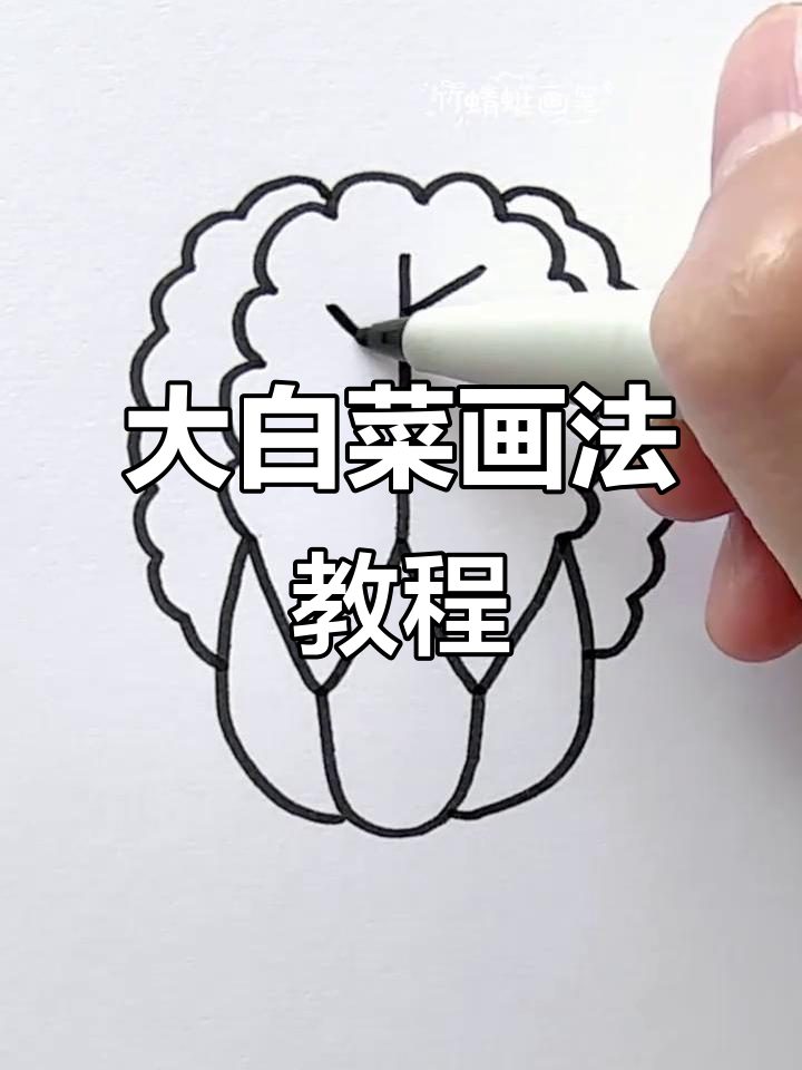 轻松画出可爱大白菜，步骤简单又有趣