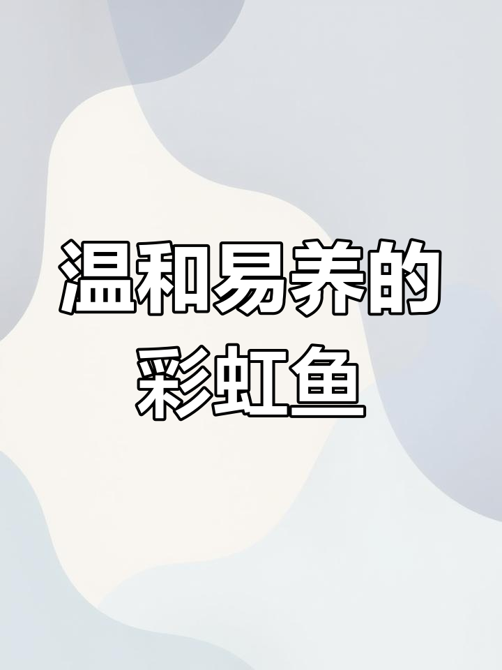石美人鱼:色彩斑斓的热带鱼类