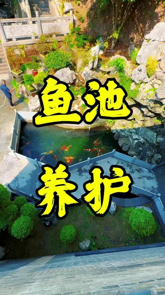 40吨锦鲤鱼池一条龙的服务 煦瑞锦鲤生态水系统一条龙服务:鱼池设计施工,鱼池过滤系统,精品