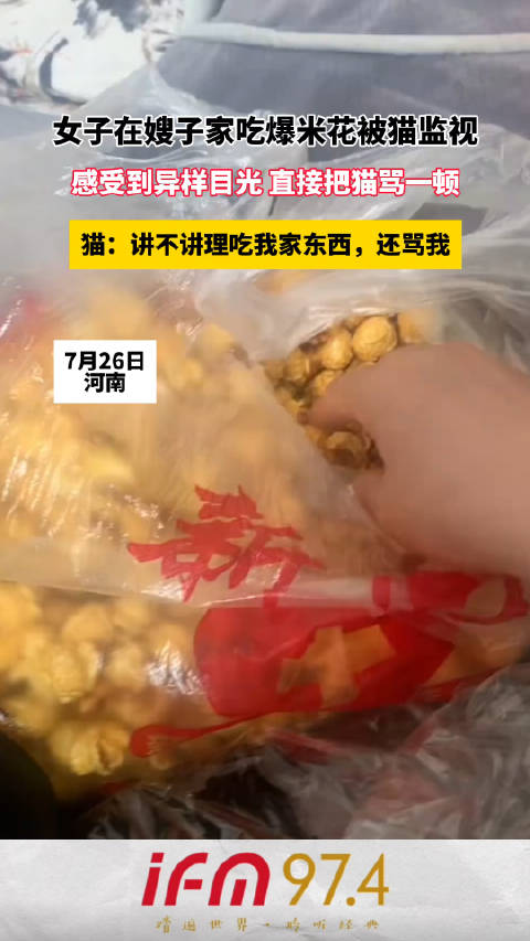 女子在嫂子家吃爆米花被猫监视,感受到异样目光 直接把猫骂一顿,猫:讲不讲理吃我家东西,还骂