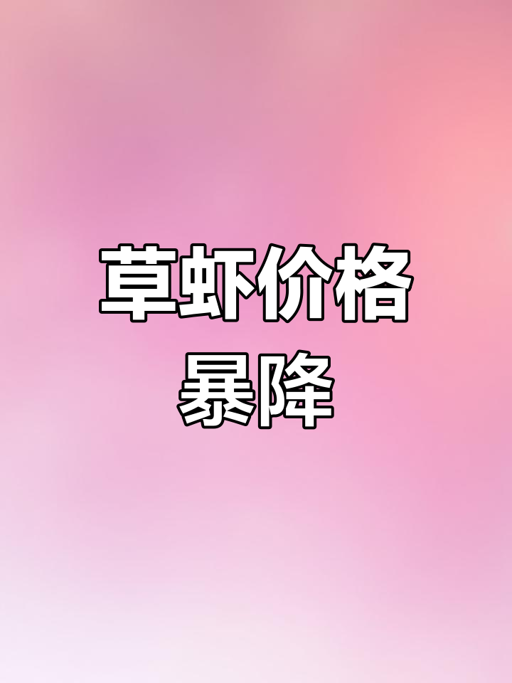 福建草虾价格大跌,两个月内降至30元