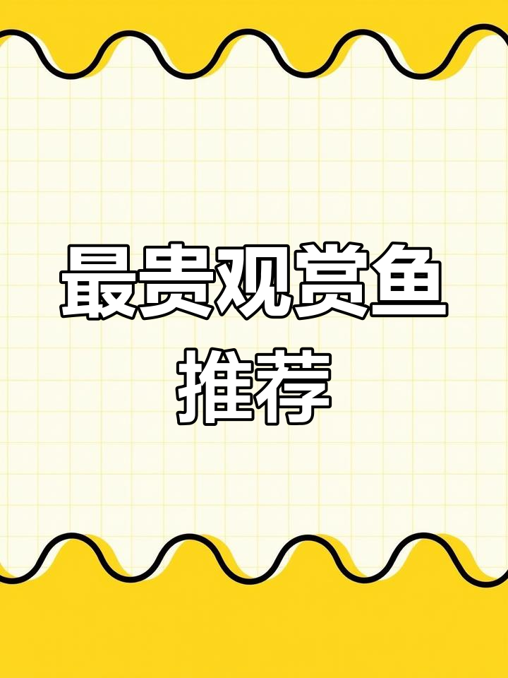 世界上最昂贵的观赏鱼排行榜