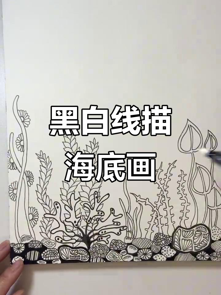 海底世界黑白线描,带你畅游海底深处