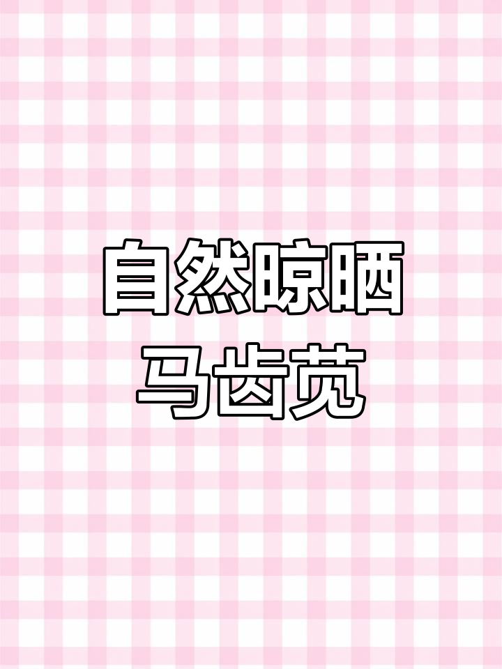 马齿苋干菜制作方法,晒成美味长寿菜