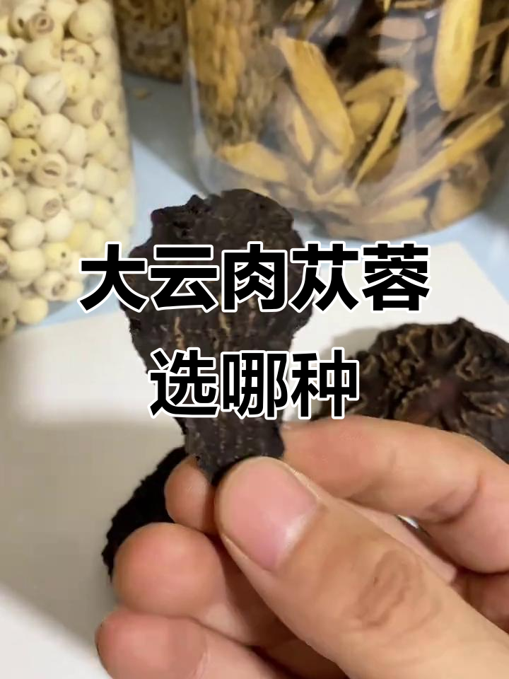肉苁蓉大芸的三种规格与品质差异,如何挑选最适合你的药材