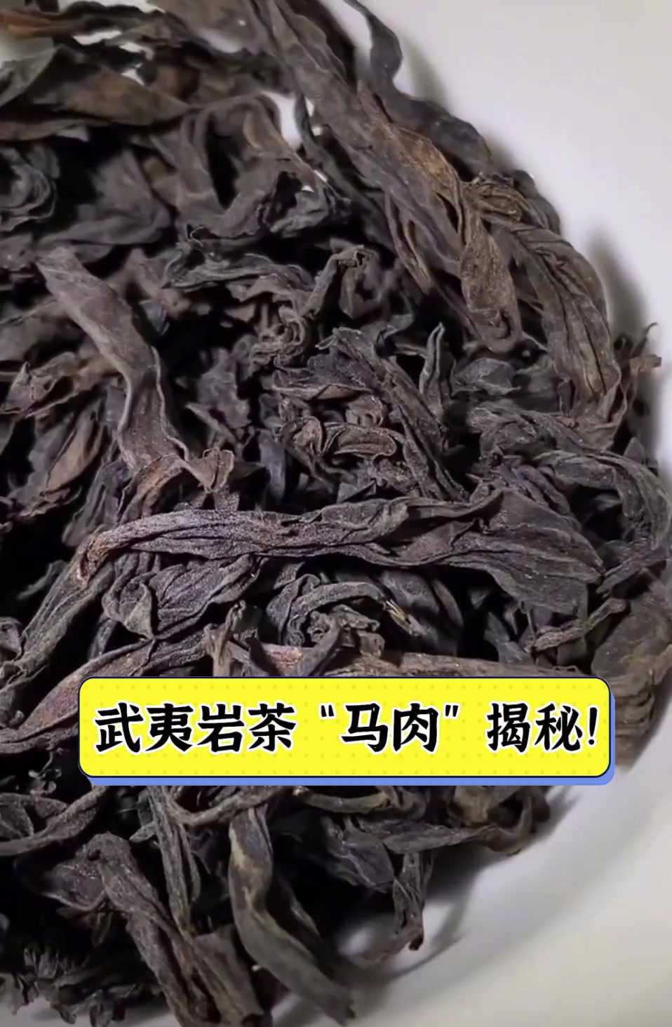 武夷岩茶“马肉”揭秘!