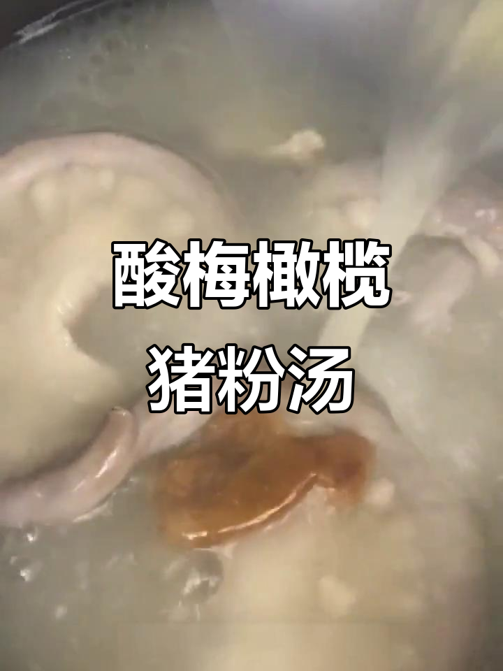 酸梅橄榄猪粉肠汤,润肺又简单,家常味十足