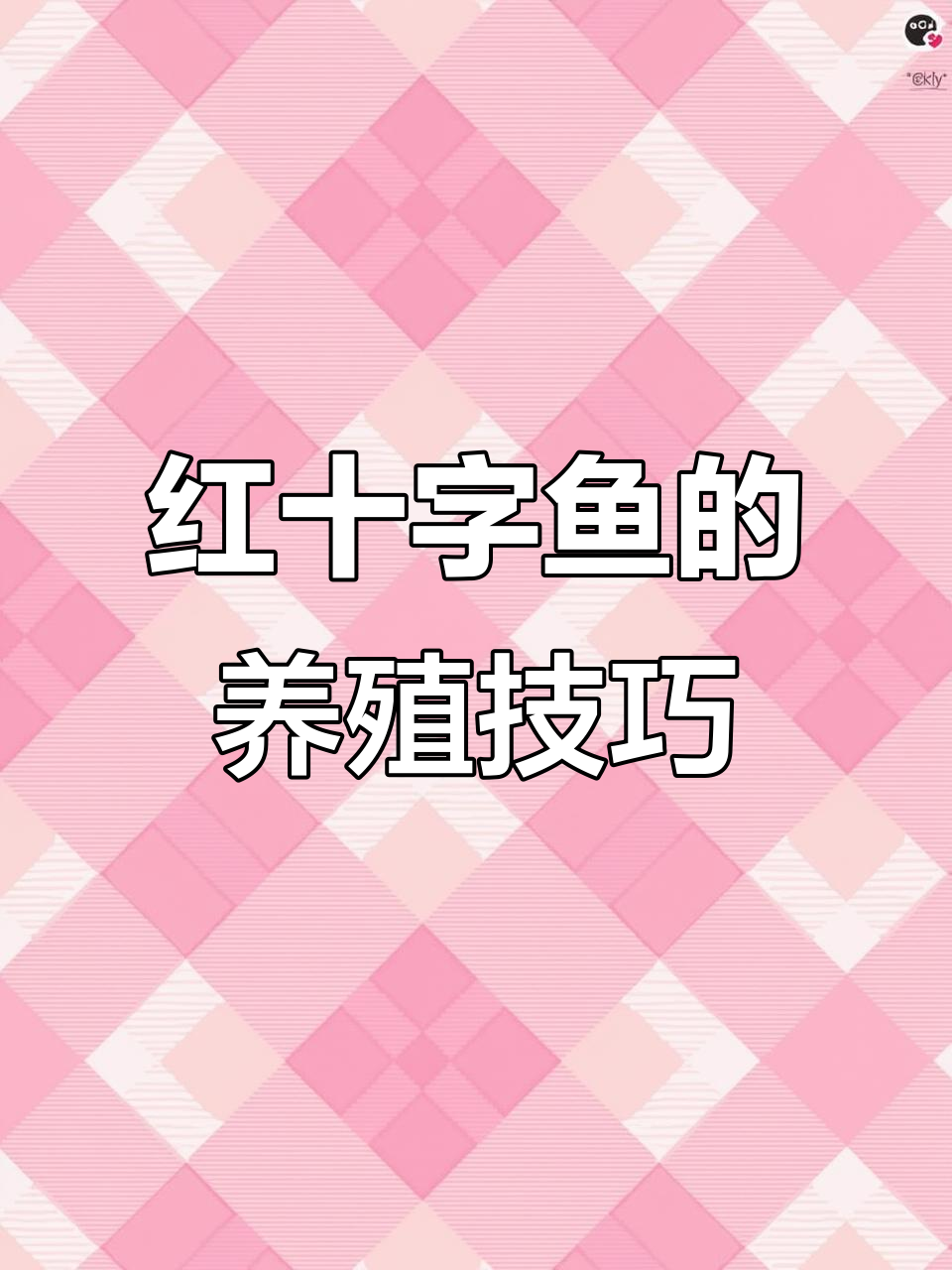 凶猛红十字鱼,水质要求低,新手也能轻松养