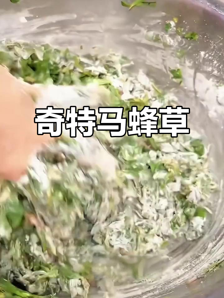 马蜂菜窝窝,口感独特,各地叫法不同,你们知道它叫什么吗?