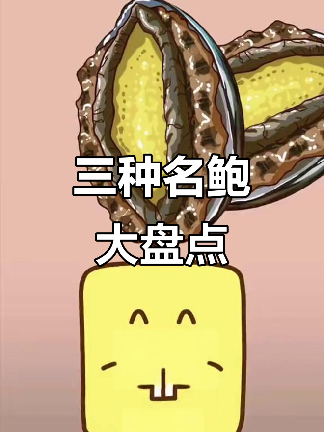 鲍鱼三大品种大揭秘，哪种最适合你？