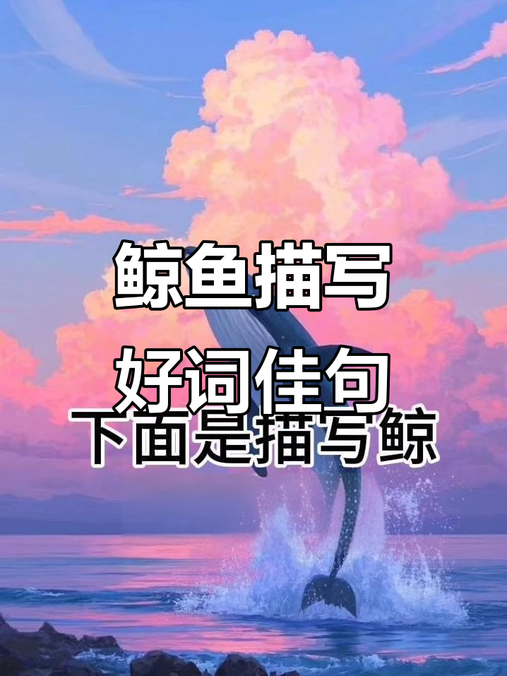 鲸鱼描写词汇大集合：优雅、威猛、巨大身躯等好词句