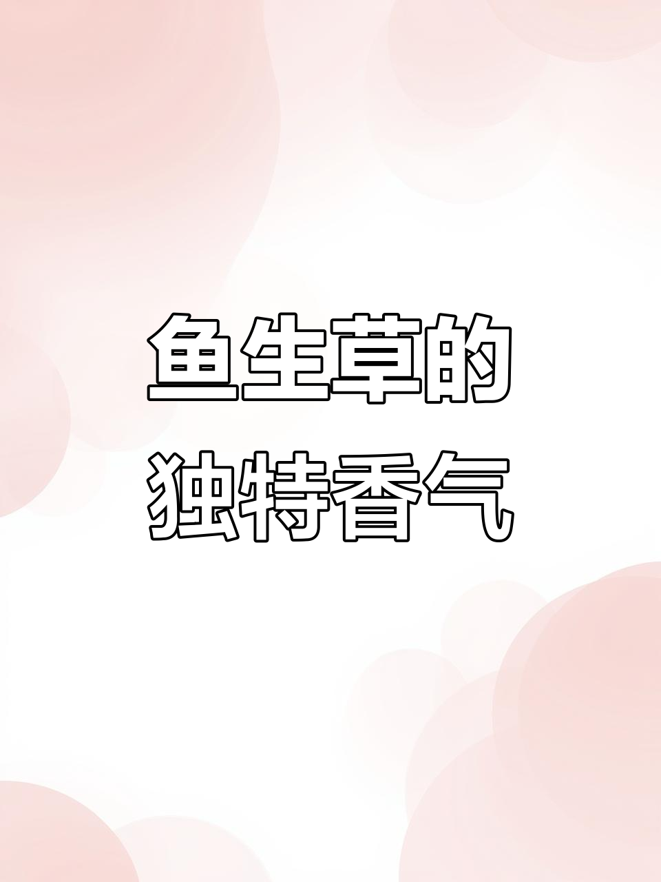 广西横县鱼生草：香料与辣料的完美结合