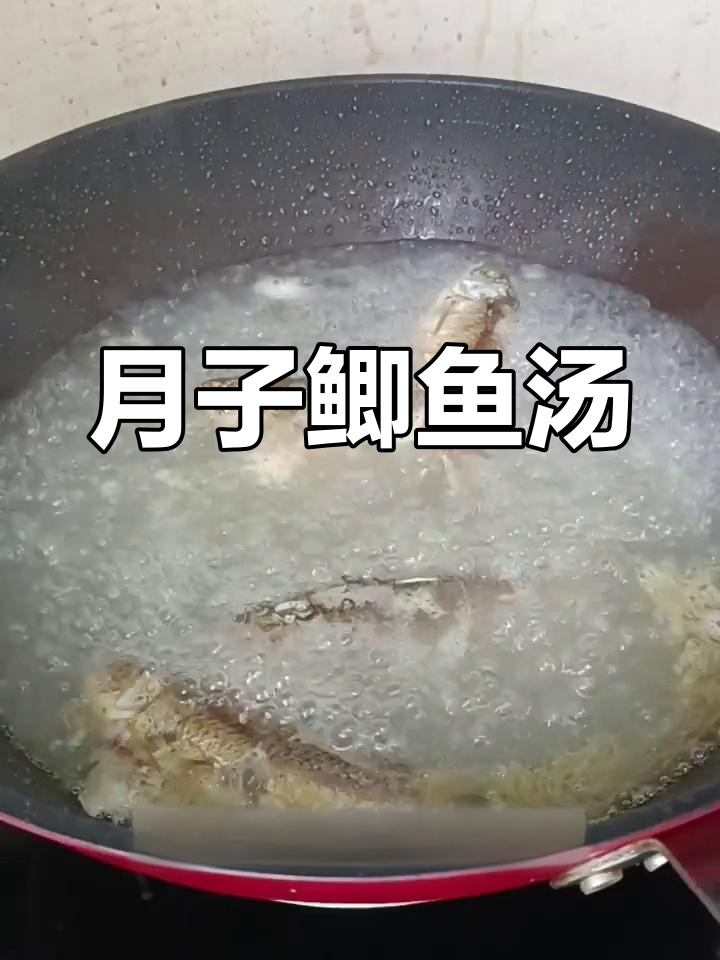 新鲜鲫鱼汤,月子必备下奶神器