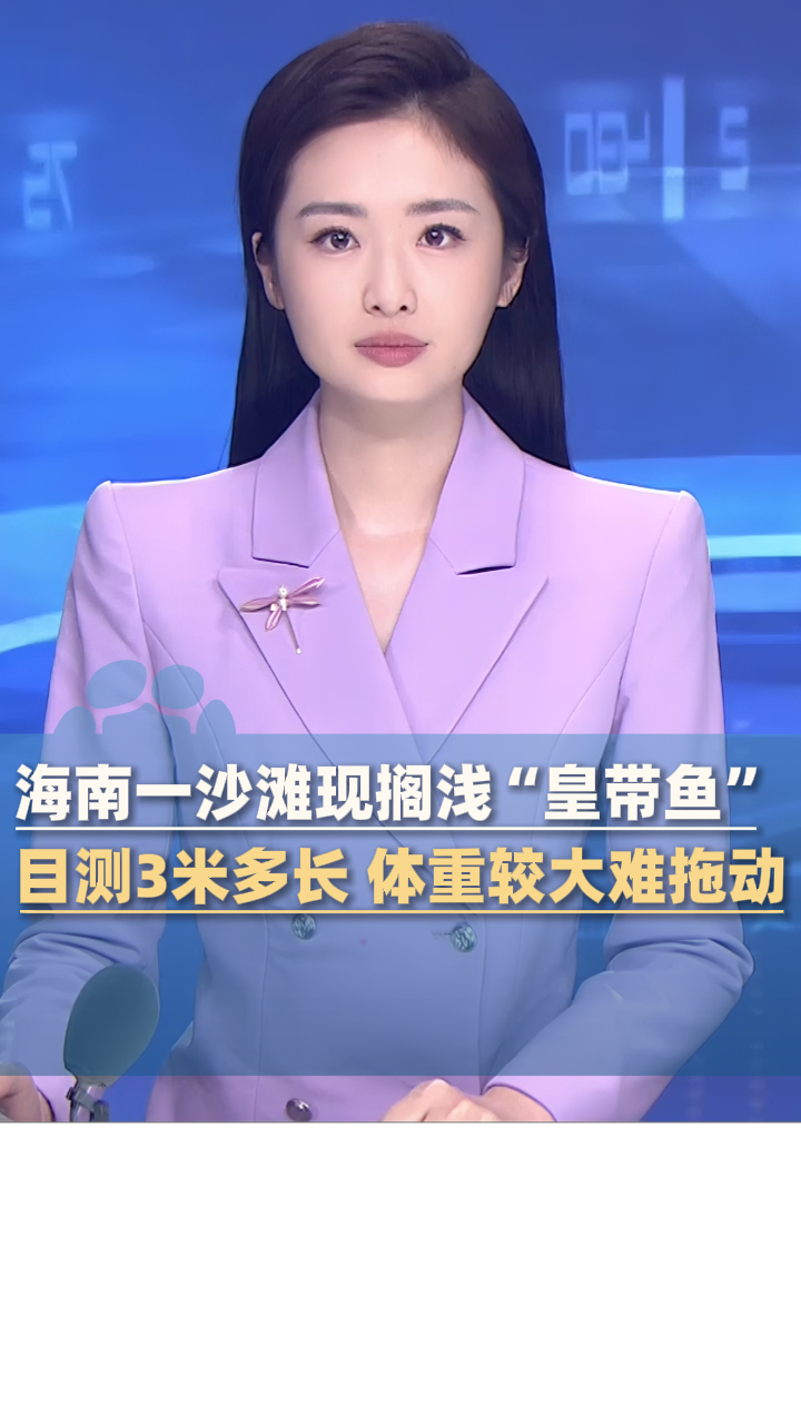 海南一沙滩现搁浅“皇带鱼”,目测3米多长 体重较大难拖动
