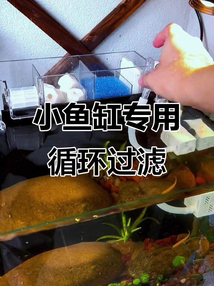 壁挂过滤器让小鱼缸更清新,瀑布式出水增氧效果超强