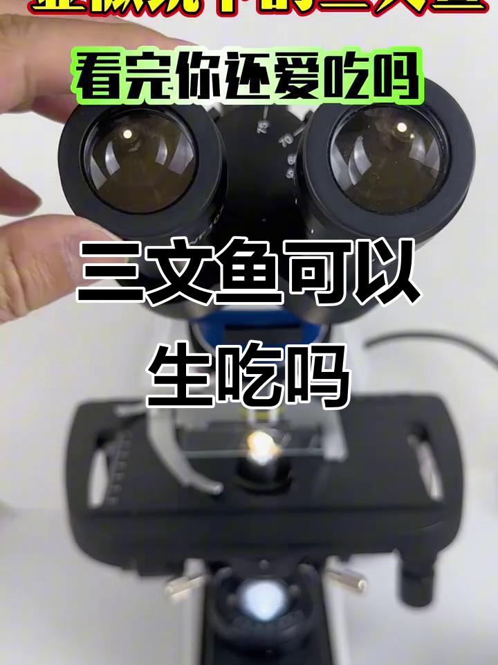 三文鱼能生吃吗?显微镜下看真相