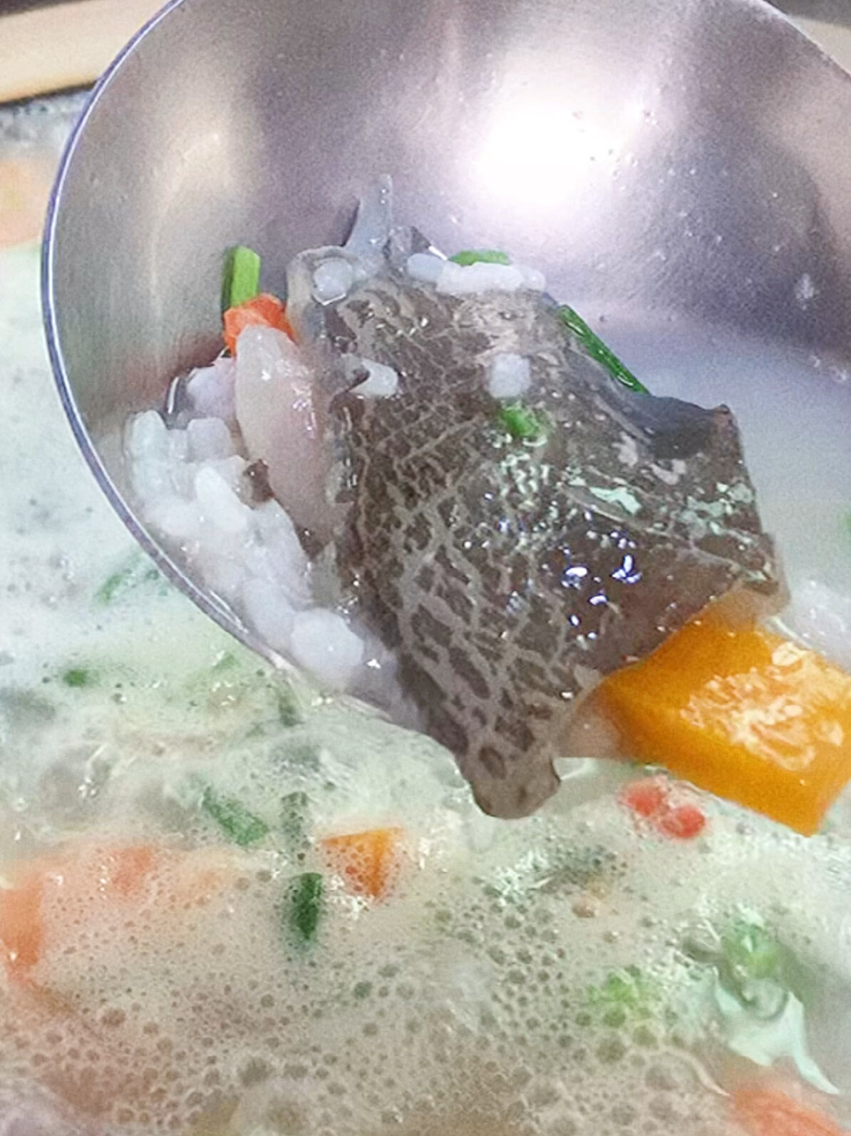 广东人做的砂锅甲鱼粥怎么这么好吃呢?真香