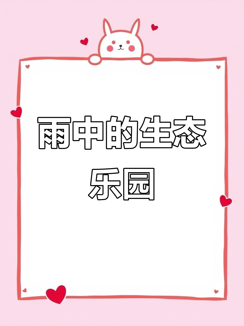 雨中农场,鸭群悠闲嬉戏,种养结合的和谐画卷