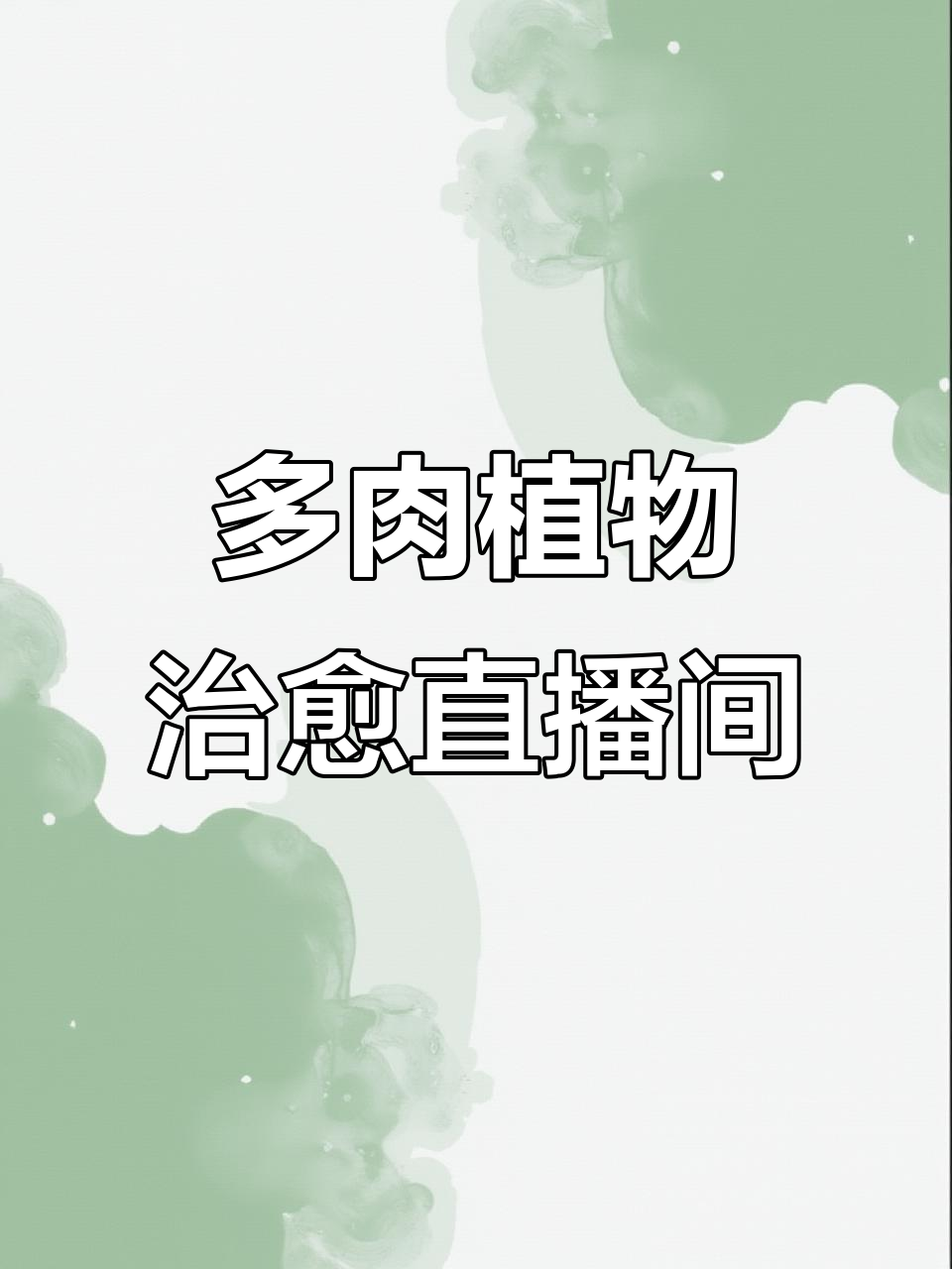 黄金花月直播:用多肉治愈生活,花卉基地的美丽时光