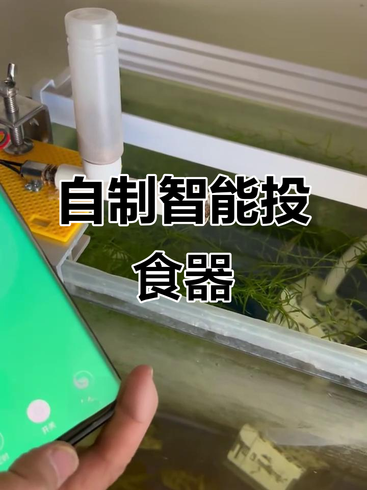 用废旧材料DIY自动投食器，手机远程操控喂鱼