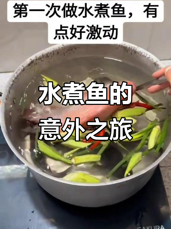 第一次做水煮鱼,竟然这么搞笑!