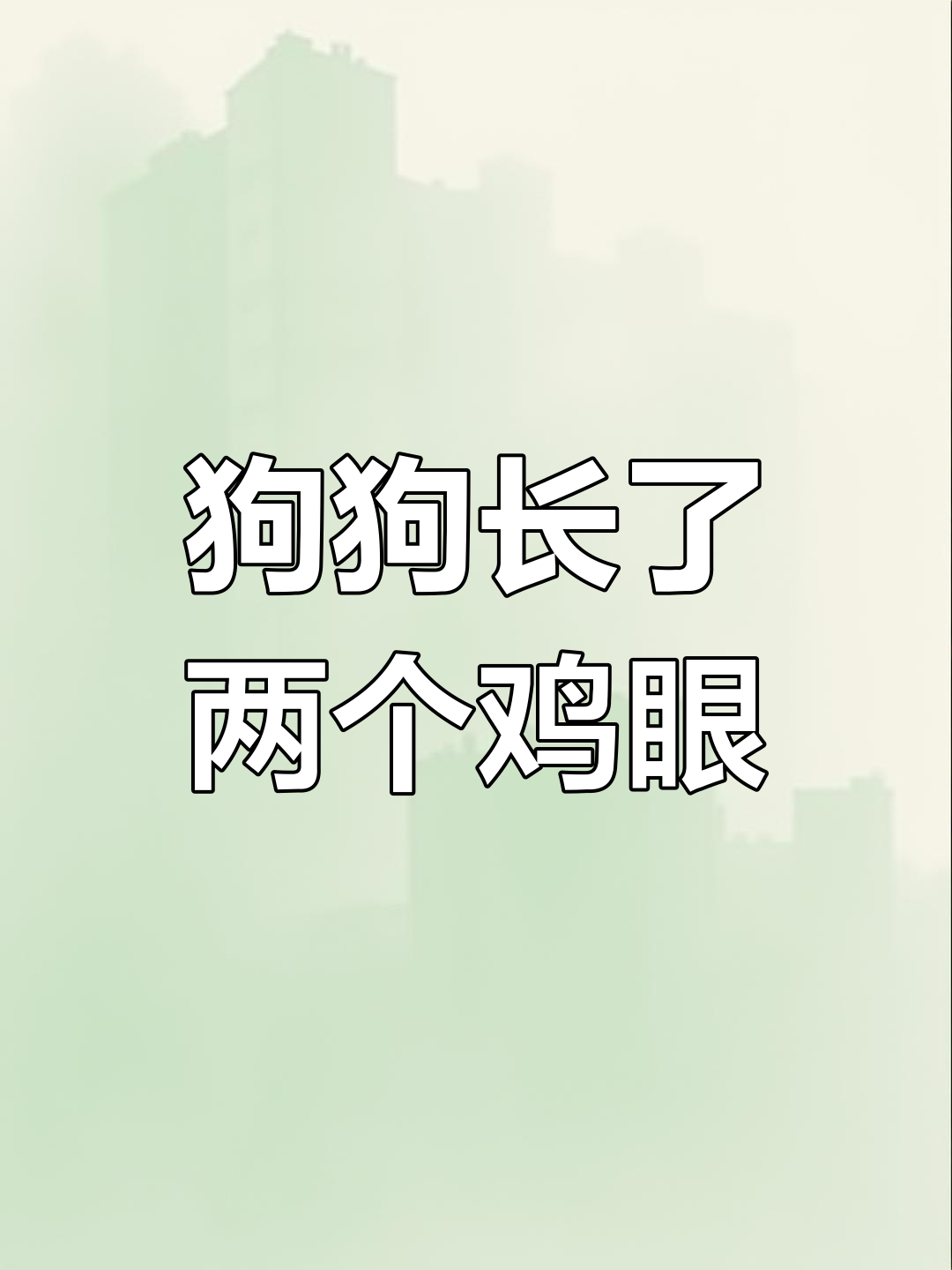 狗狗脚上长包,竟是鸡眼引起