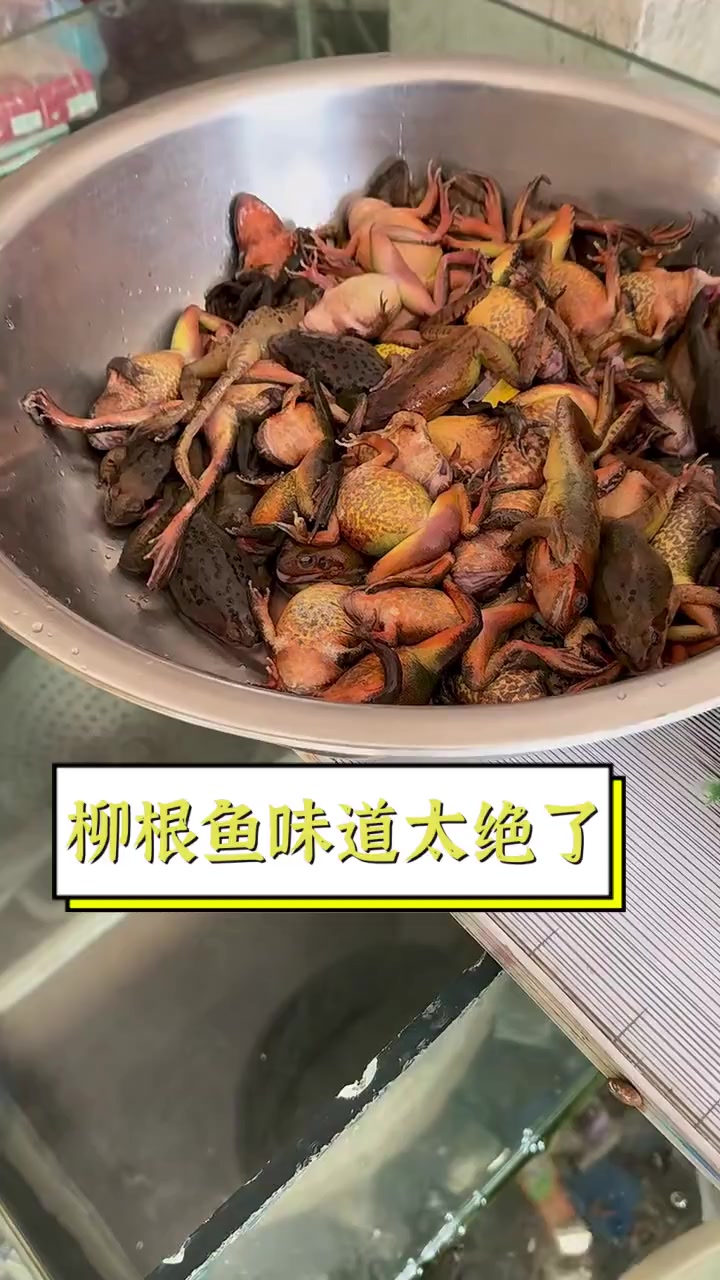 柳根鱼味道太绝了