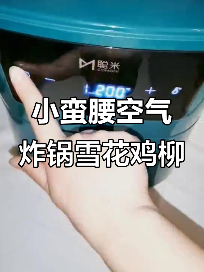 雪花鸡柳轻松做，聪米小蛮腰空气炸锅让你厨房更简单