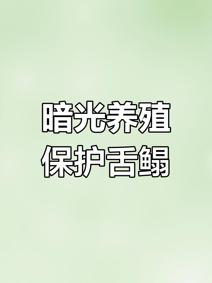 舌鳎鱼偏爱暗色环境,养殖漆模拟海底灰泥为其提供庇护