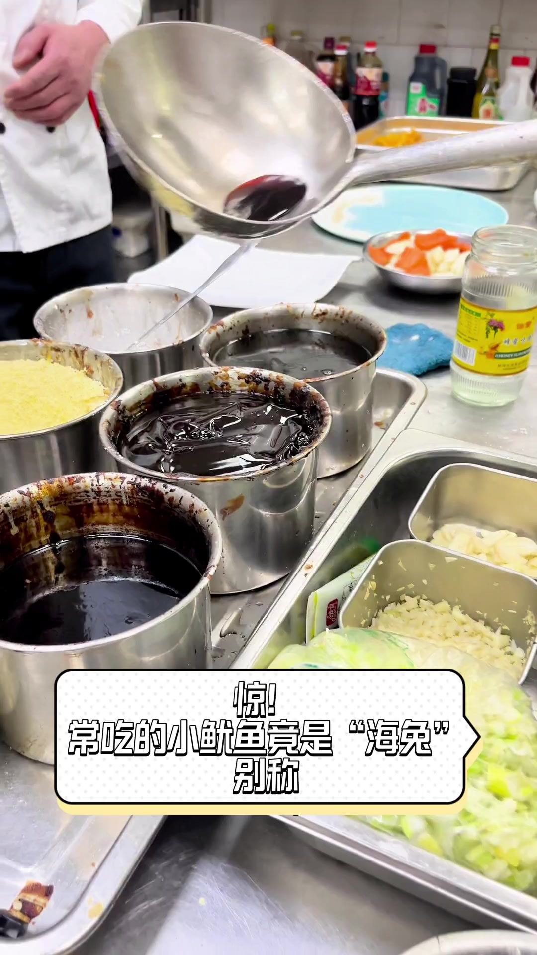 惊!常吃的小鱿鱼竟是“海兔”别称