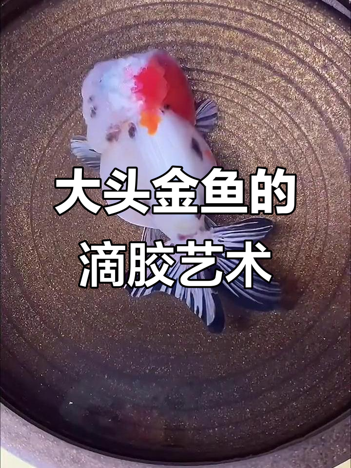25层大头金鱼制作,层层叠加胶水打造立体感