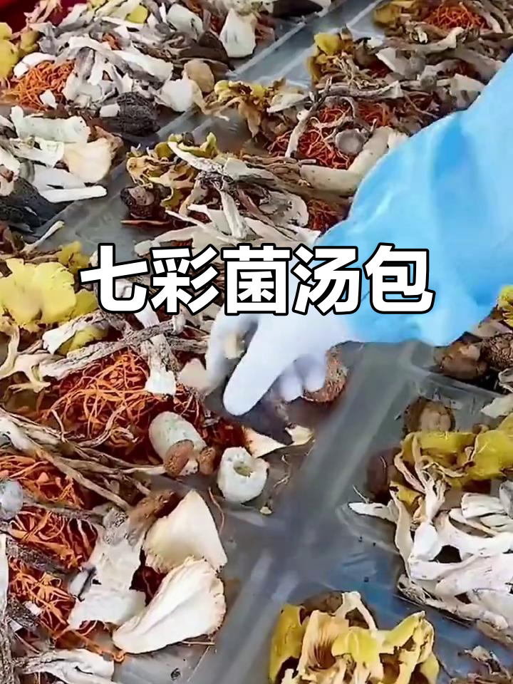 天冷必备!七彩菌汤包,鲜美又过瘾