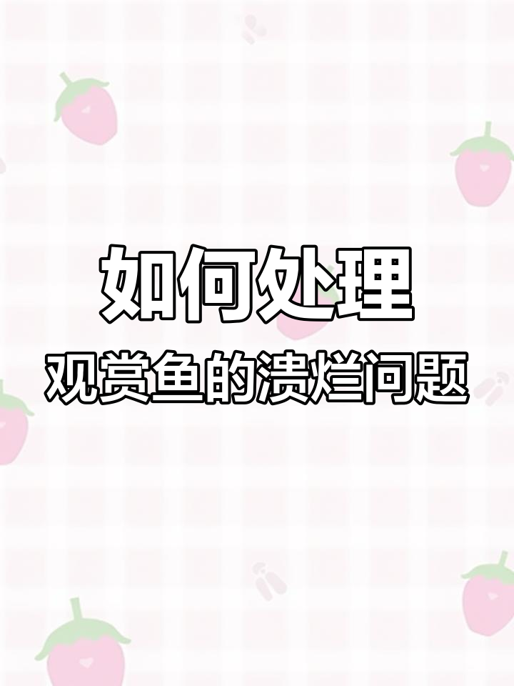 观赏鱼烂身烂尾怎么办?新手必看水质调理与药物使用技巧